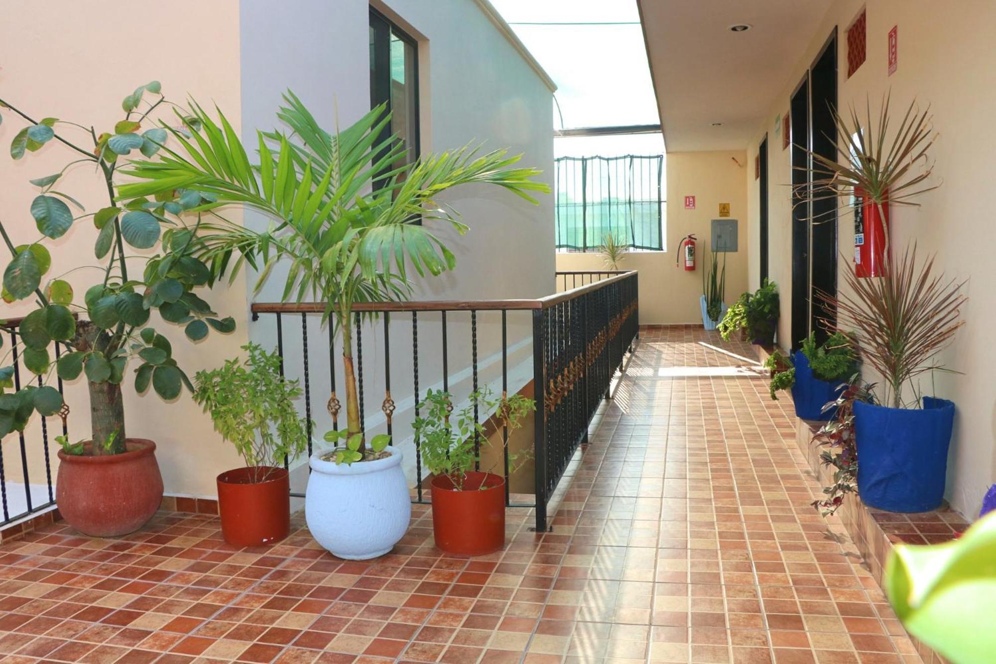 Hotel Casa Pellegrin 梅里达 外观 照片