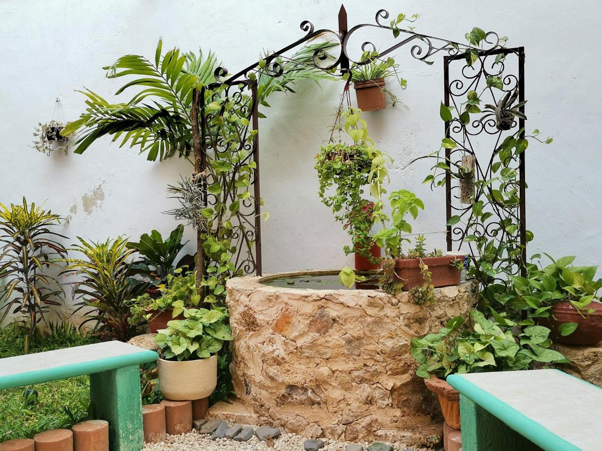 Hotel Casa Pellegrin 梅里达 外观 照片
