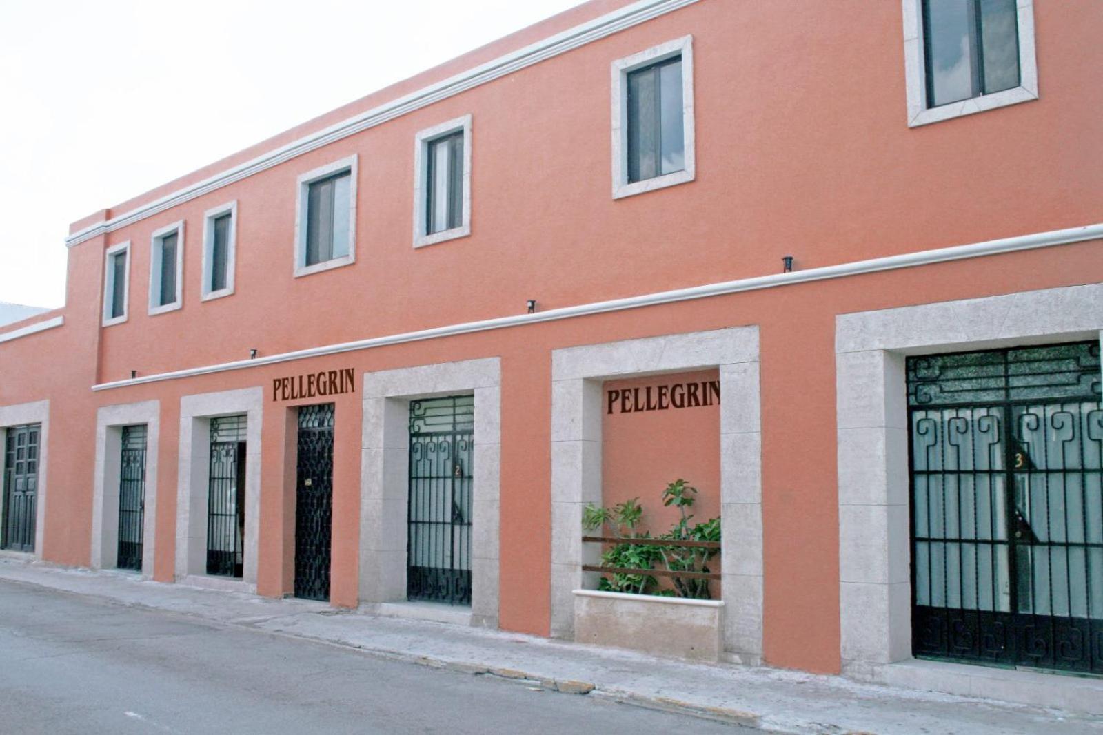 Hotel Casa Pellegrin 梅里达 外观 照片