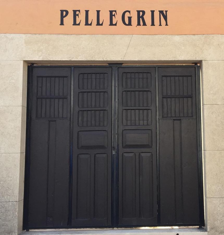 Hotel Casa Pellegrin 梅里达 外观 照片