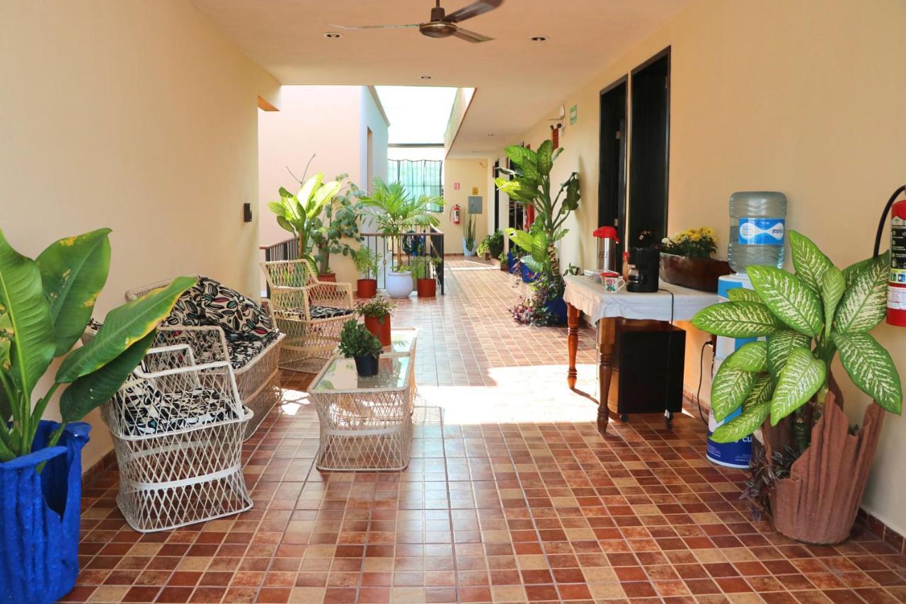 Hotel Casa Pellegrin 梅里达 外观 照片