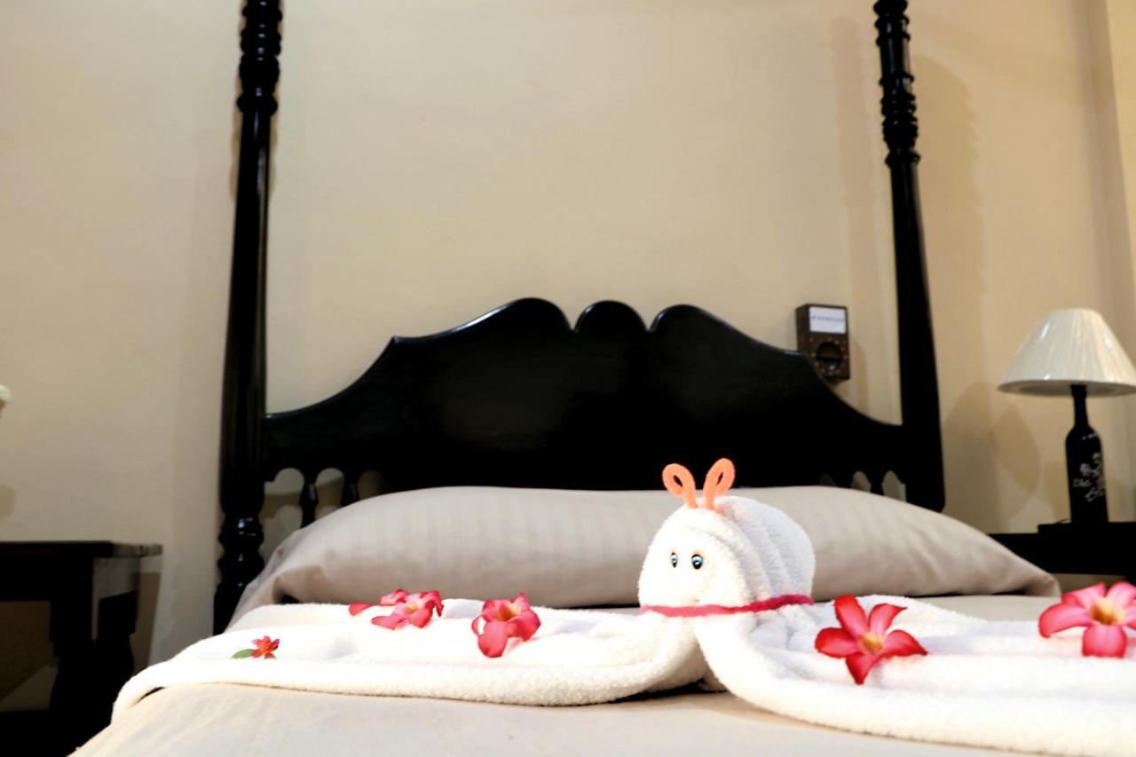 Hotel Casa Pellegrin 梅里达 外观 照片