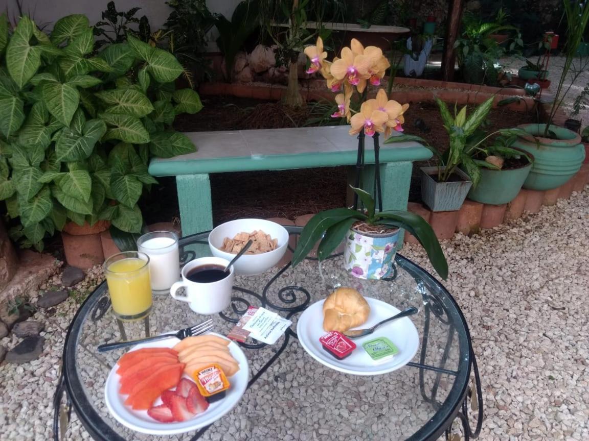 Hotel Casa Pellegrin 梅里达 外观 照片